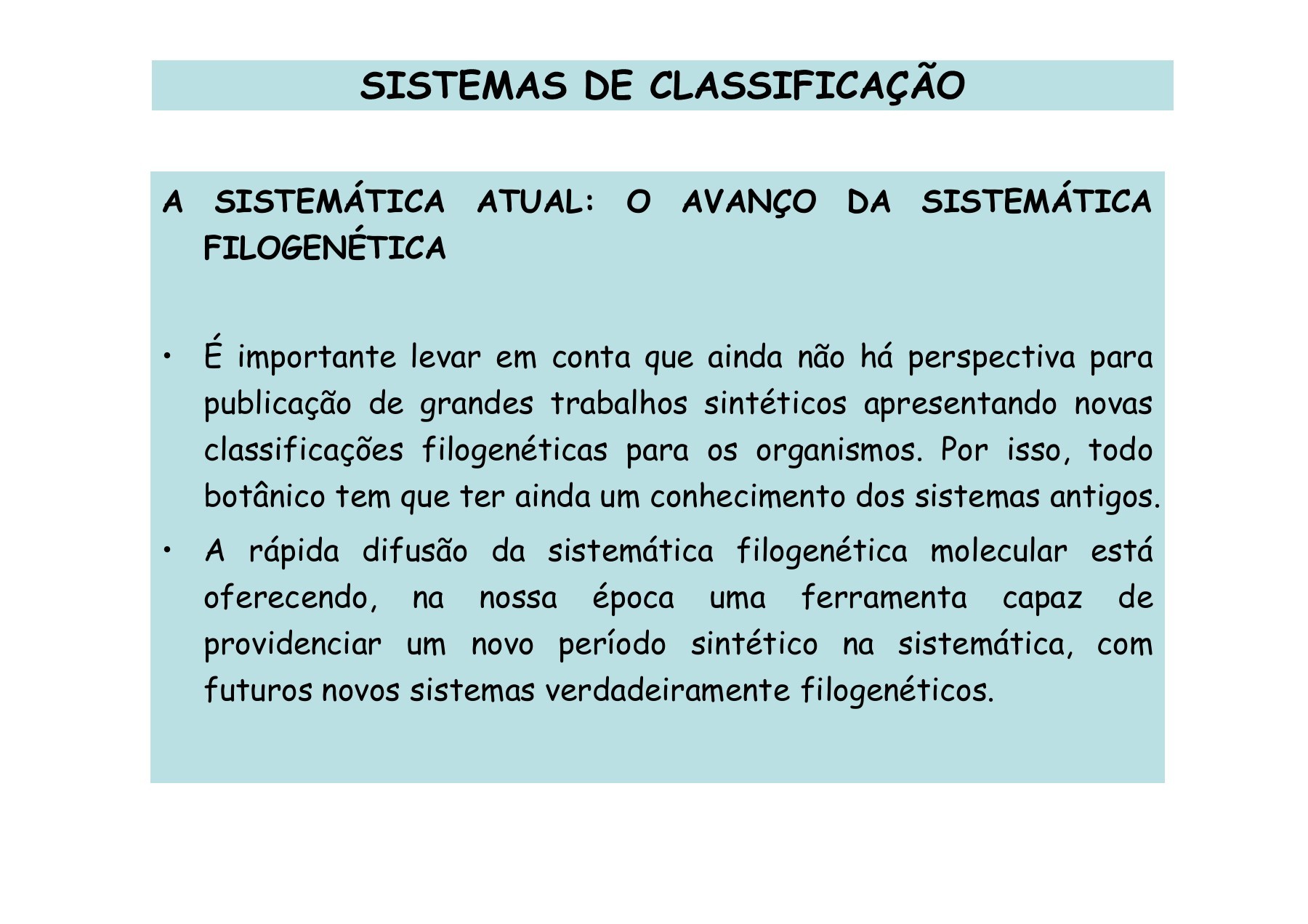 Flores e Angiospermas: Amor e Biologia, image size:1800x1272