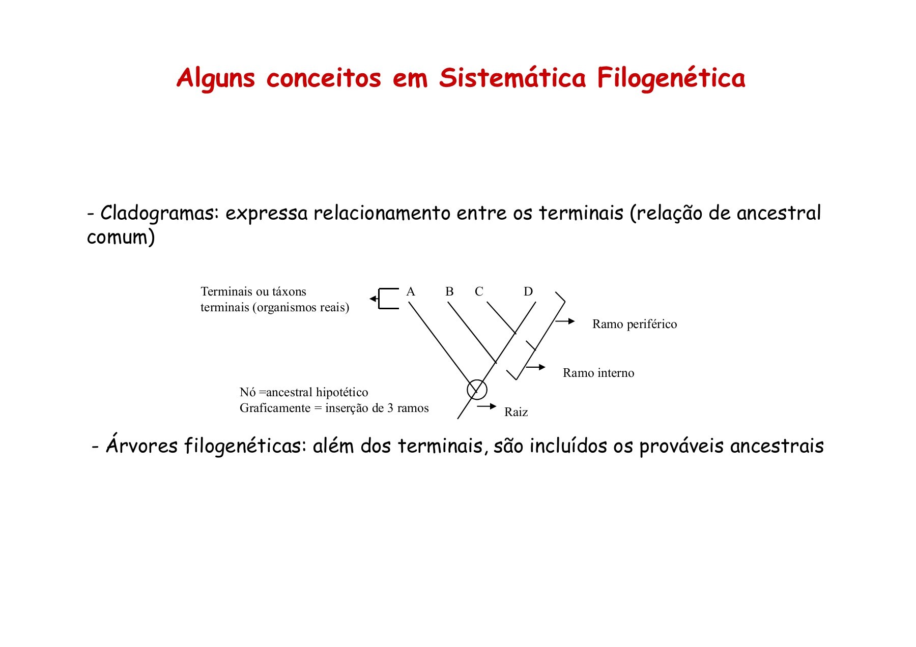 Introducción a las Angiospermas - Facultad de Ciencias Exactas y ..., image size:1800x1272