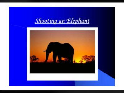 shooting an elephant a study guide shooting an elephant a study guide