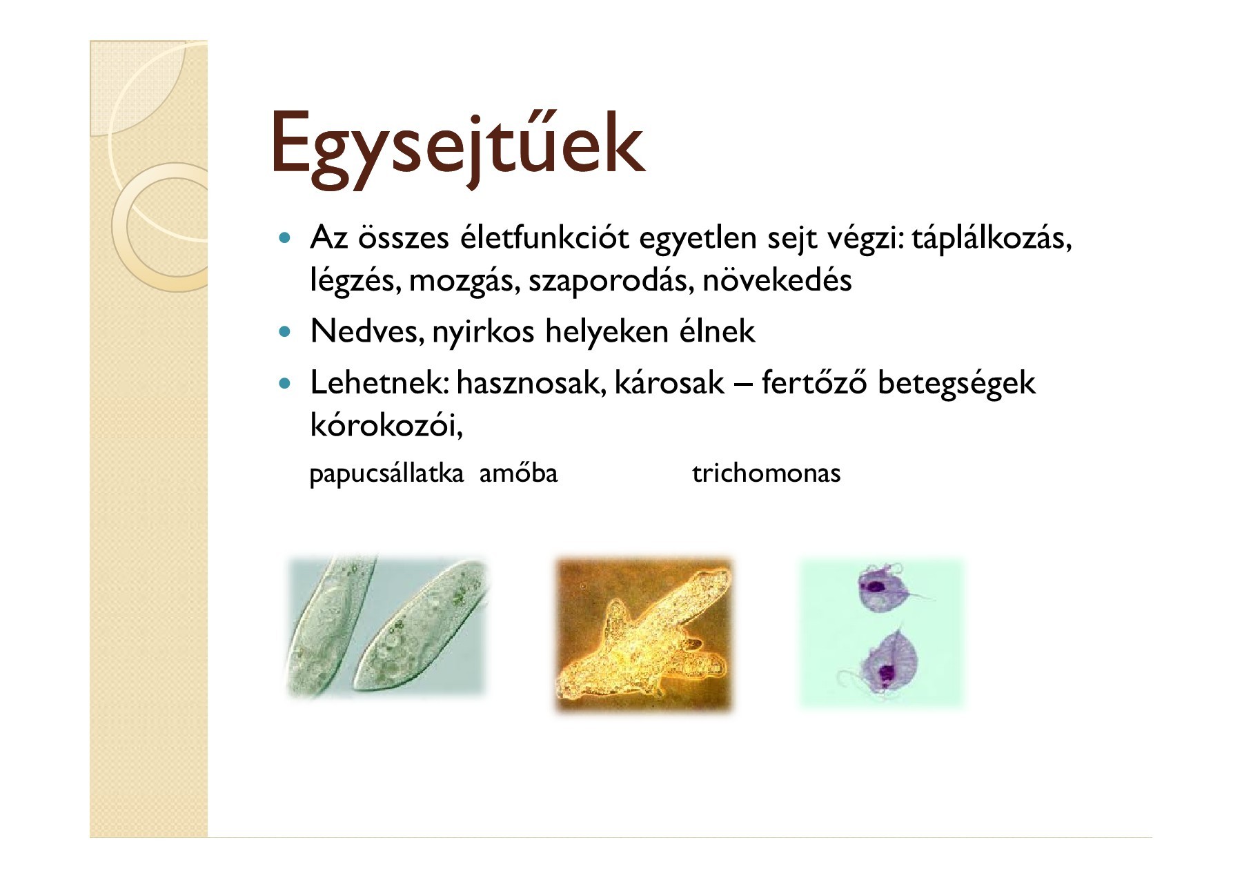 ürülék nélküli férgek nélküli nyálka